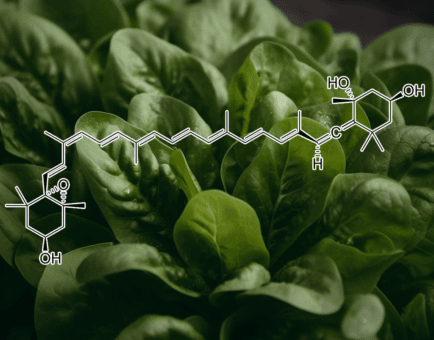 Neoxanthin compound illustration, a naturally occurring carotenoid featured in Interstellar Blends' herbal formulas, known for its antioxidant, anti-inflammatory, and potential anticancer properties