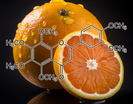 Nobiletin (Citrus nobilis Lour) – Citrus flavonoid in Interstellar Blends, supporting brain function, metabolism, and cellular protection.
