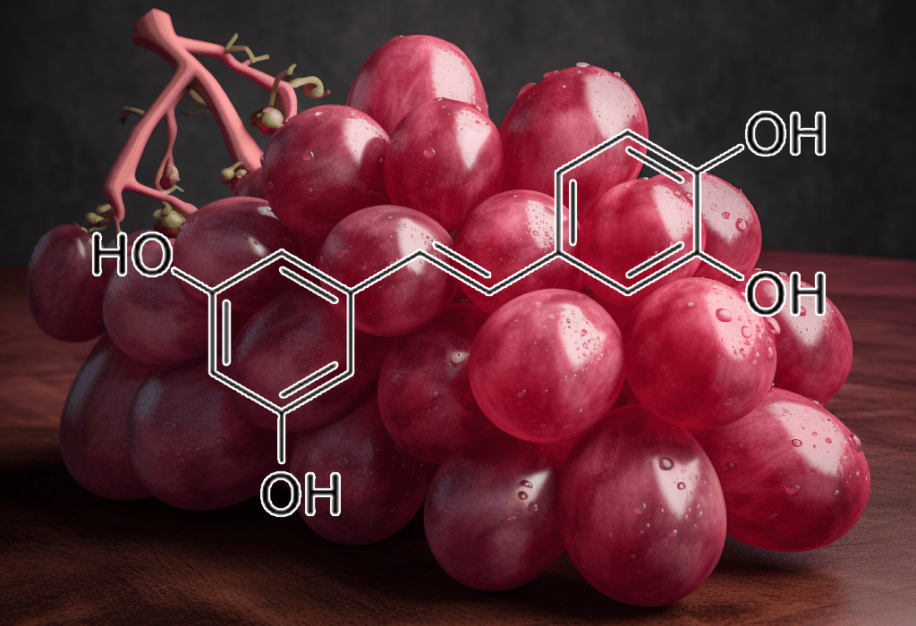 PICEATANNOL Plant Source - Interstellar Blends