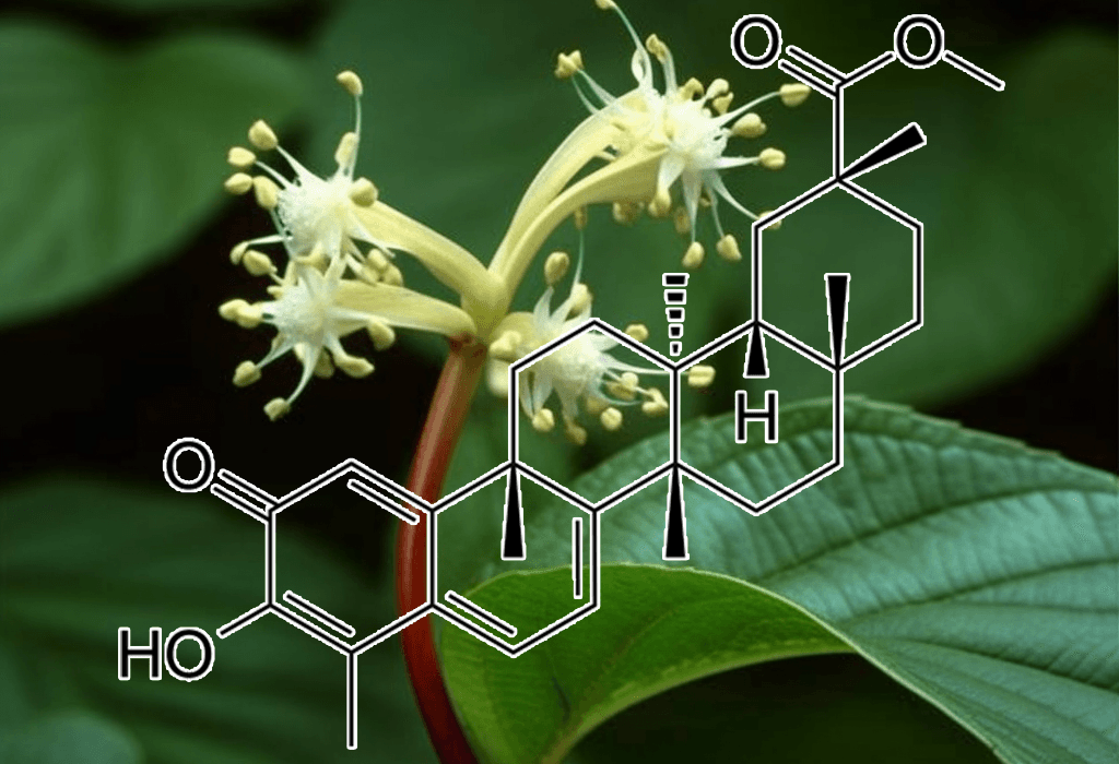 PRISTIMERIN Plant Source - Interstellar Blends