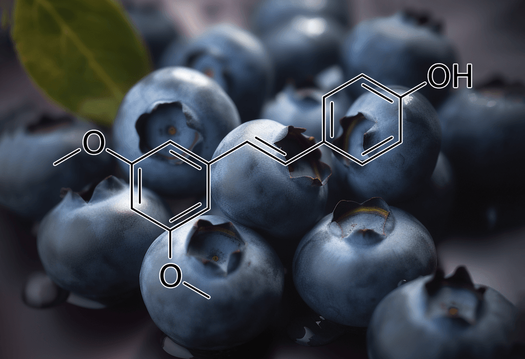 Pterostilbene from Blueberries – Longevity-promoting polyphenol in Interstellar Blends, supporting cognitive function and metabolic health.