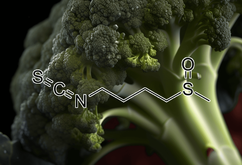 SULFORAPHANE Source Plant - Interstellar Blends