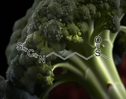 SULFORAPHANE Source Plant - Interstellar Blends