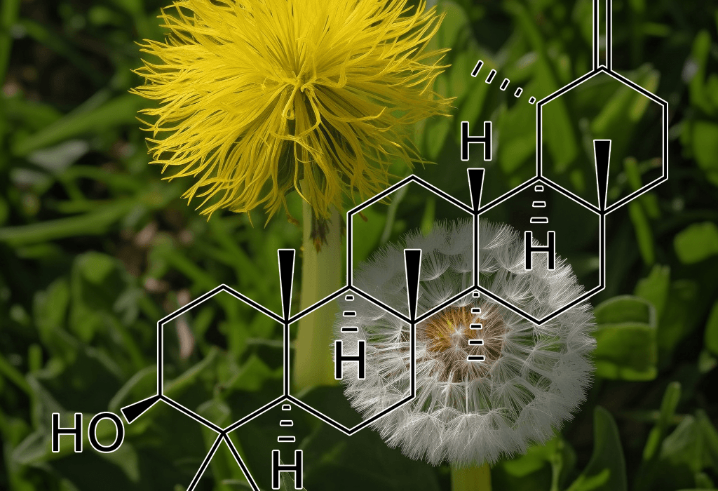 TARAXASTEROL Source Plant - Interstellar Blends