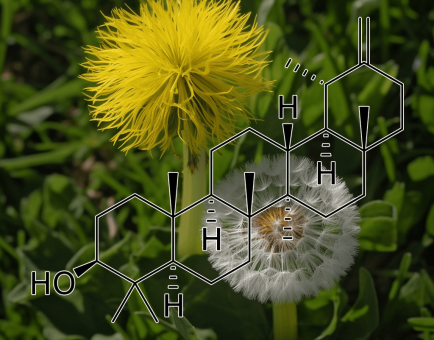TARAXASTEROL Source Plant - Interstellar Blends