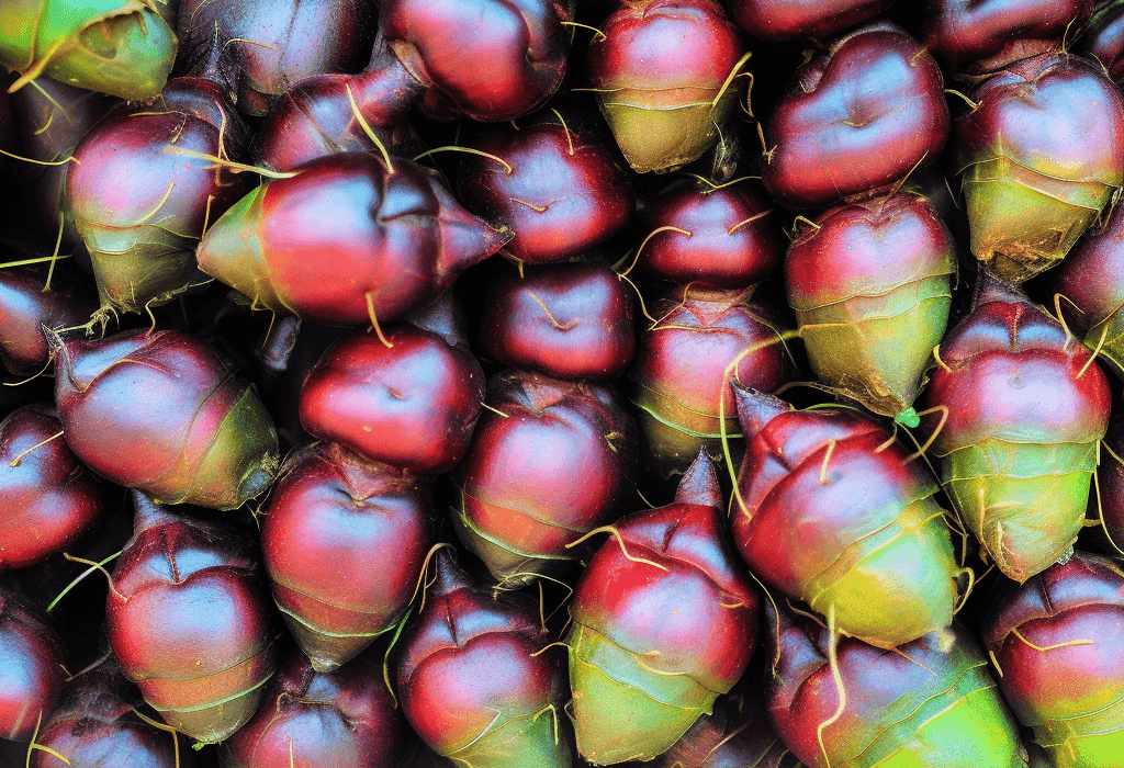 Trapa-bispinosa - Interstellar Blends