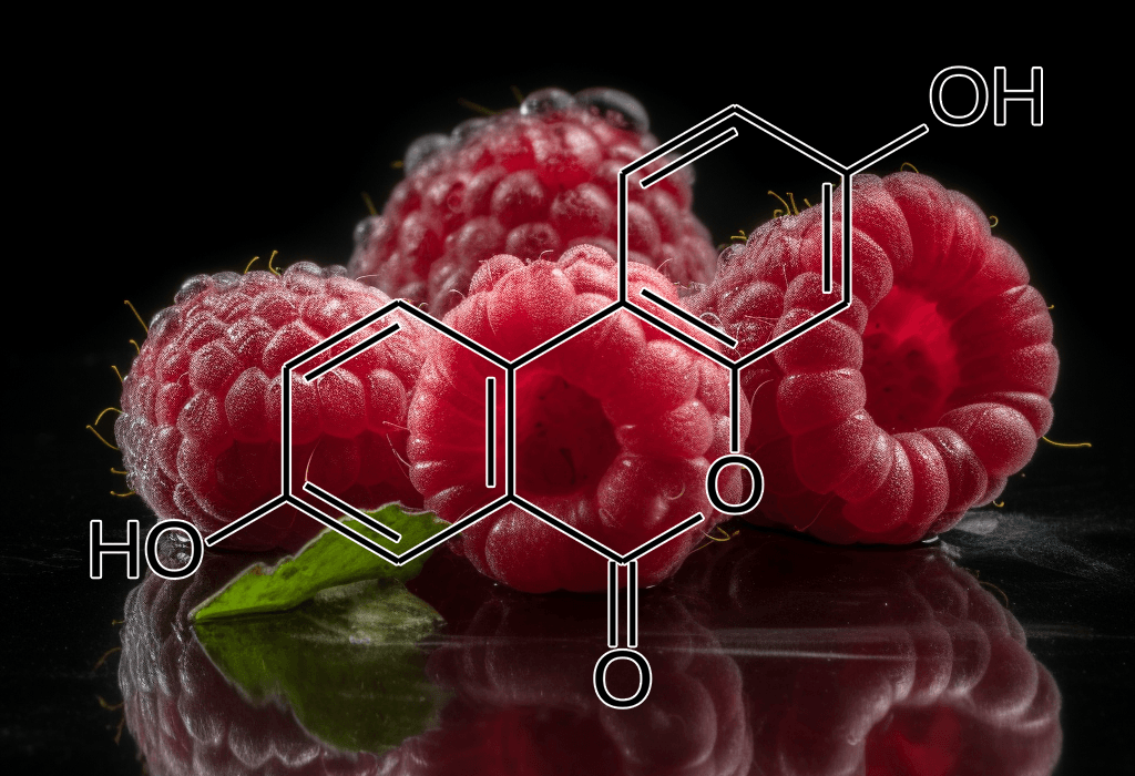 UROLITHIN A source raspberries - Interstellar Blends