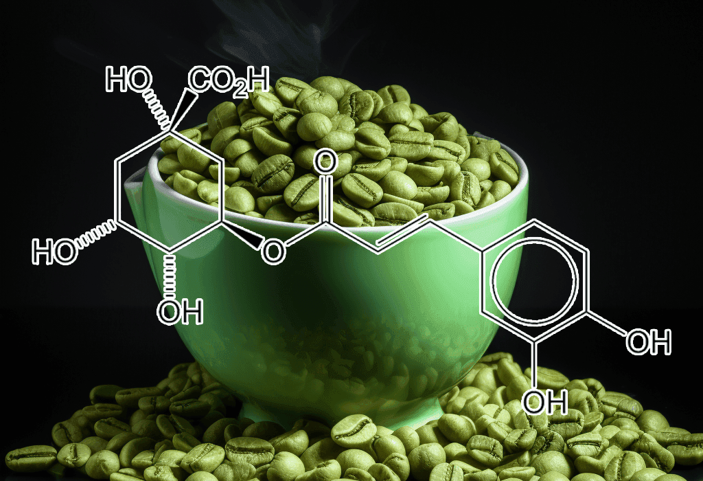 Chlorogenic acid (CGA) – Metabolism-boosting compound in Interstellar Blends, supporting weight loss and heart health.