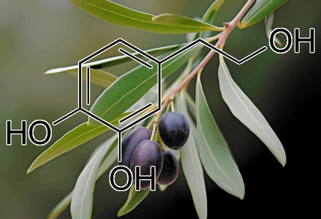 Hydroxytyrosol – A high-resolution image of Hydroxytyrosol, a polyphenol in Interstellar Blends for its powerful antioxidant benefits.