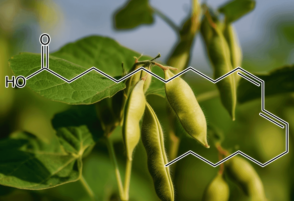 Conjugated linoleic acid - Interstellar Blends