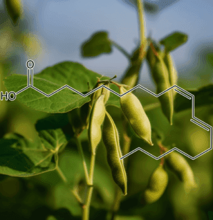 Conjugated linoleic acid - Interstellar Blends