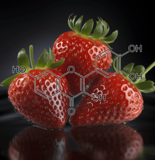 Fisetin – Longevity-promoting flavonoid in Interstellar Blends, reducing oxidative stress, enhancing brain function, and promoting anti-aging benefits.