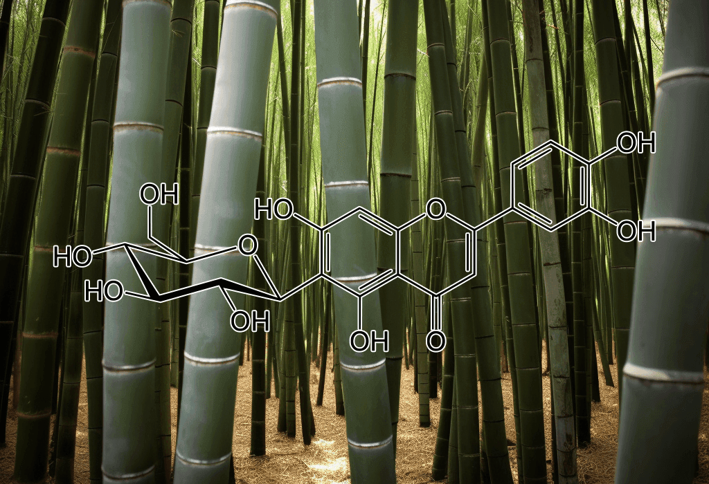 ISOOREINTIN source Phyllostachys pubescens - Interstellar Blends