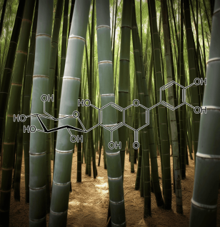 ISOOREINTIN source Phyllostachys pubescens - Interstellar Blends