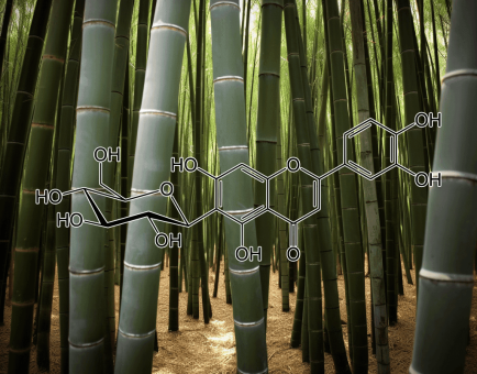ISOOREINTIN source Phyllostachys pubescens - Interstellar Blends