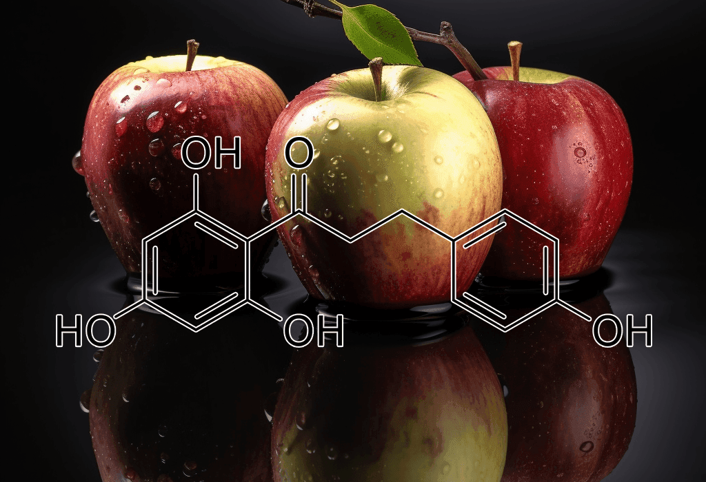 Phloretin (Apples) – Metabolic-enhancing polyphenol in Interstellar Blends, aiding blood sugar balance and anti-aging benefits.