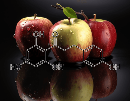 Phloretin (Apples) – Metabolic-enhancing polyphenol in Interstellar Blends, aiding blood sugar balance and anti-aging benefits.