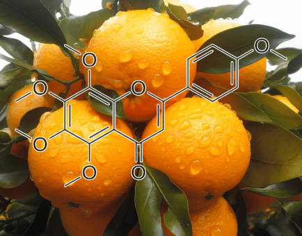 TANGERETIN Source Plant - Interstellar Blends