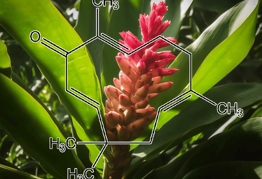 ZERUMB - Interstellar Blends