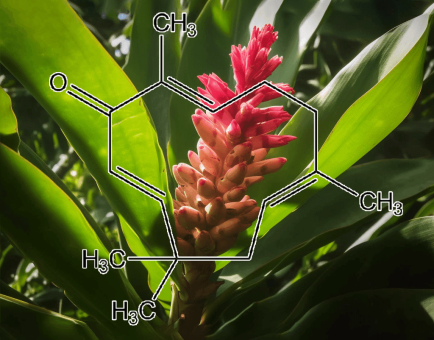 ZERUMB - Interstellar Blends