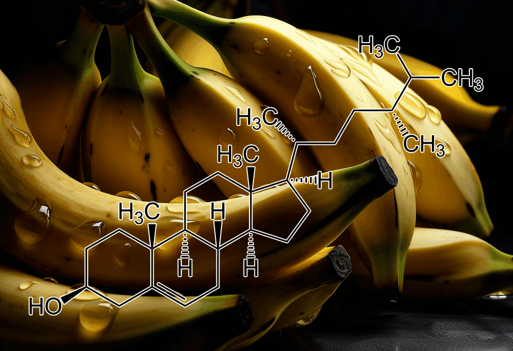 Campesterol Bananaas - Interstellar Blends