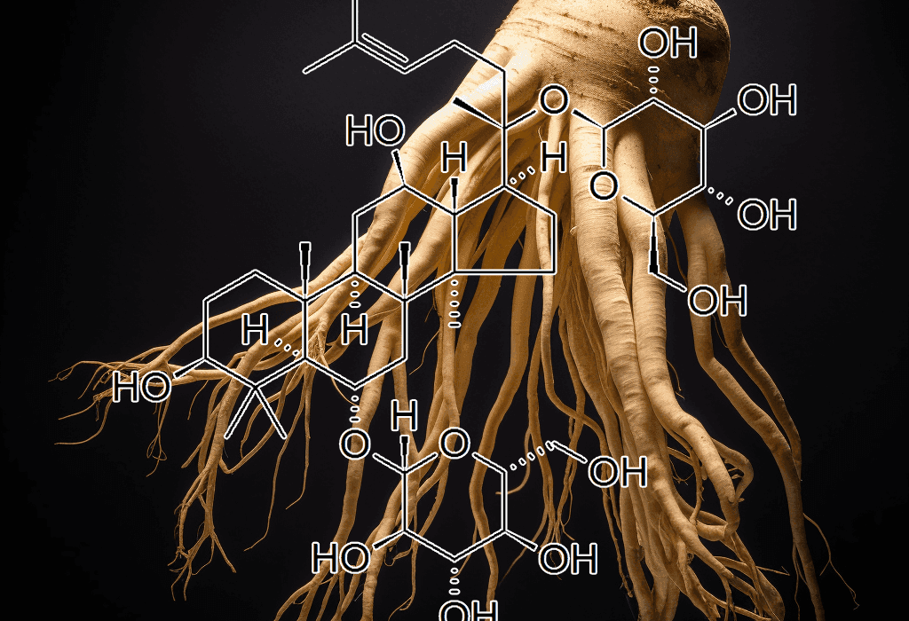 Ginsenoside – Potent adaptogenic ginseng compounds in Interstellar Blends, supporting energy, brain function, and stress resilience.