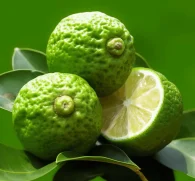 Bergamottin (Bergamot Citrus Extract) – Citrus bioflavonoid in Interstellar Blends, supporting cholesterol balance and liver detoxification.