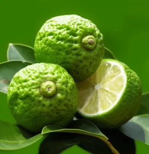 Bergamottin (Bergamot Citrus Extract) – Citrus bioflavonoid in Interstellar Blends, supporting cholesterol balance and liver detoxification.